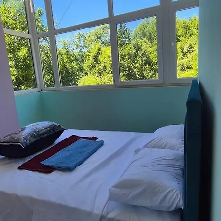 民宿 Bujtina Trofta Jone *