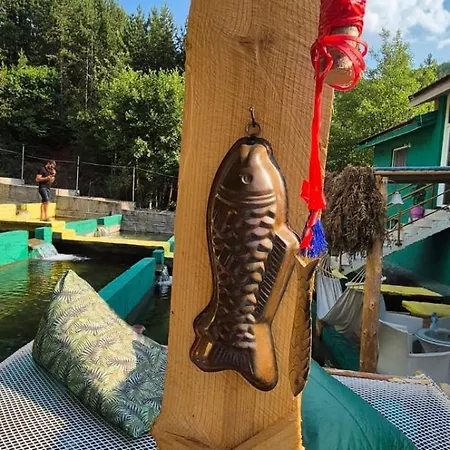 Bujtina Trofta Jone * Shengjin (Mirdite)