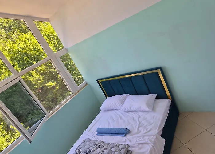 Bujtina Trofta Jone * Shengjin (Mirdite)