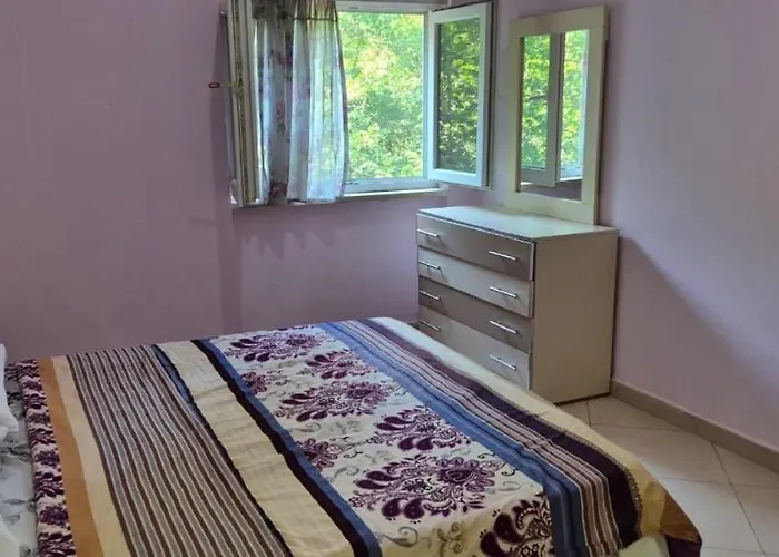 Bujtina Trofta Jone Pansiyon *