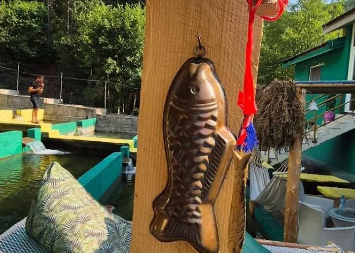 Bujtina Trofta Jone * Shengjin (Mirdite)